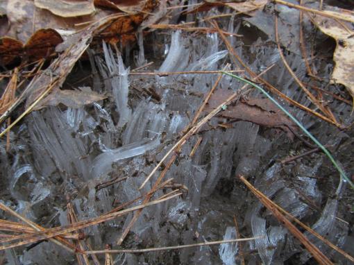 Ice needles